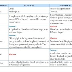 Plant cell gizmo answer key