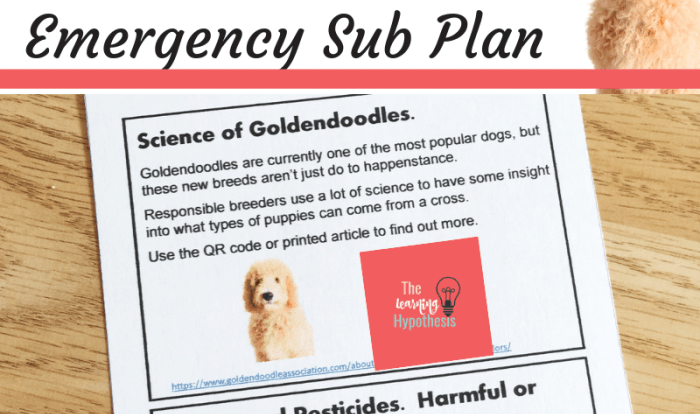 Genetics and heredity escape room