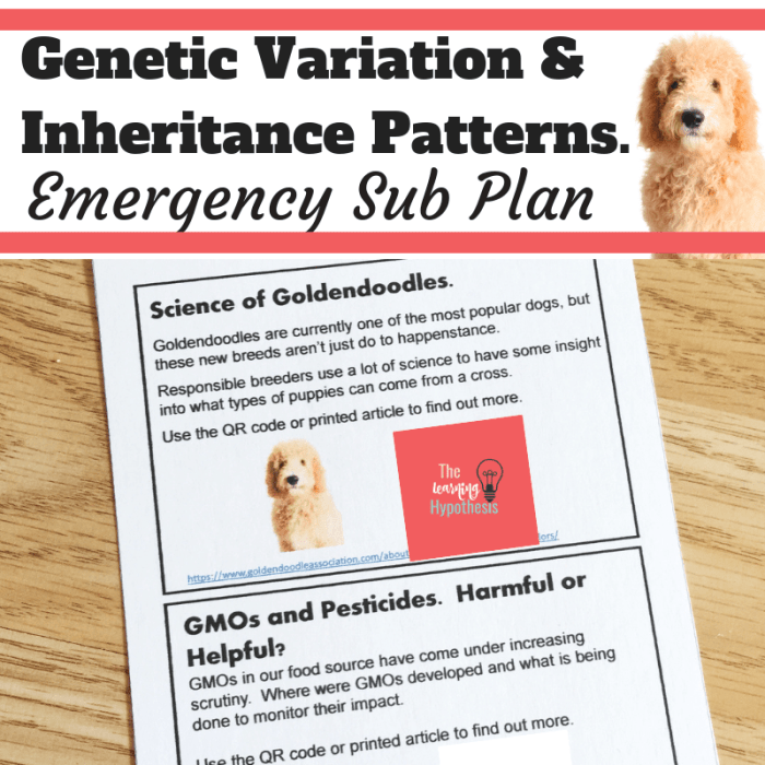 Genetics and heredity escape room