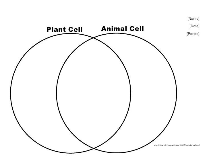 Venn diagram of animal cell vs plant cell