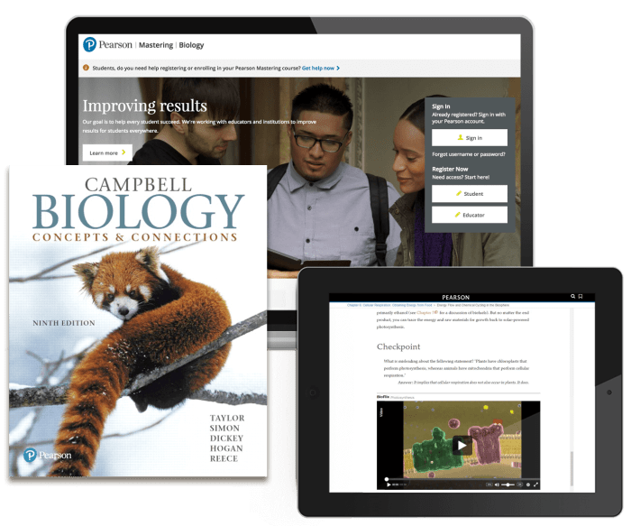 Campbell biology concepts & connections 8th edition